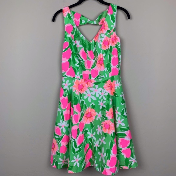 Lilly Pulitzer Dresses & Skirts - Lilly Pulitzer Floral A-Line Dress SZ2